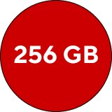 256 GB